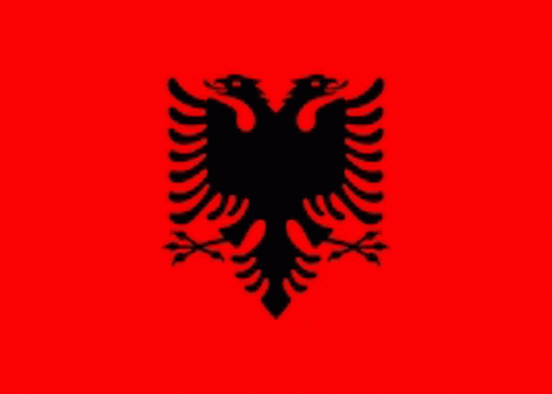 Albania GIF - Albania GIFs