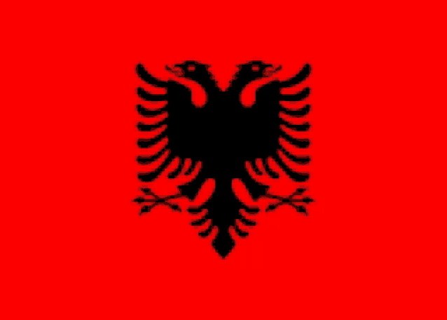 the flag of albania has a black eagle with two heads on a red background