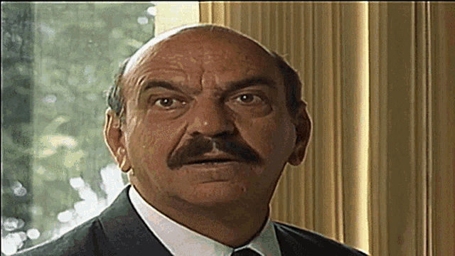 a bald man with a mustache is looking at the camera