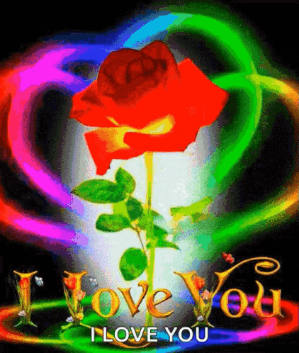 a red rose is surrounded by a rainbow heart and the words i love you