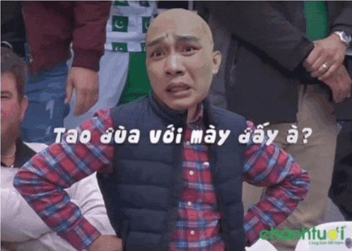 Ngựa Meme