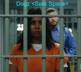 a picture of a woman in a jail cell with the words dogz safe space below her