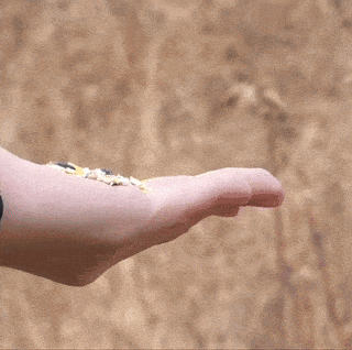 a small bird perched on a person 's finger