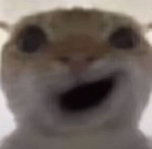 a close up of a cat 's face with its mouth open and a blurred background .