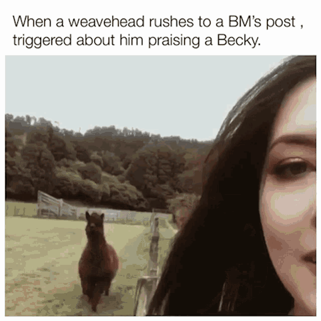 a woman taking a picture of a llama with the caption when a weavehead rushes