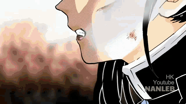 a close up of a person 's face with the words hk youtube nanleb written on the bottom