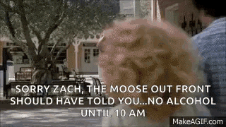 sorry zach , the moose out front should have told you . no alcohol until 10 am