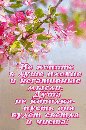 a picture of a tree with pink flowers and a message in russian