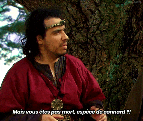 a man in a red robe is standing next to a tree and says mais vous etes pas mort espèce de connard