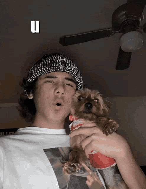 a man holding a small dog with a letter u above him