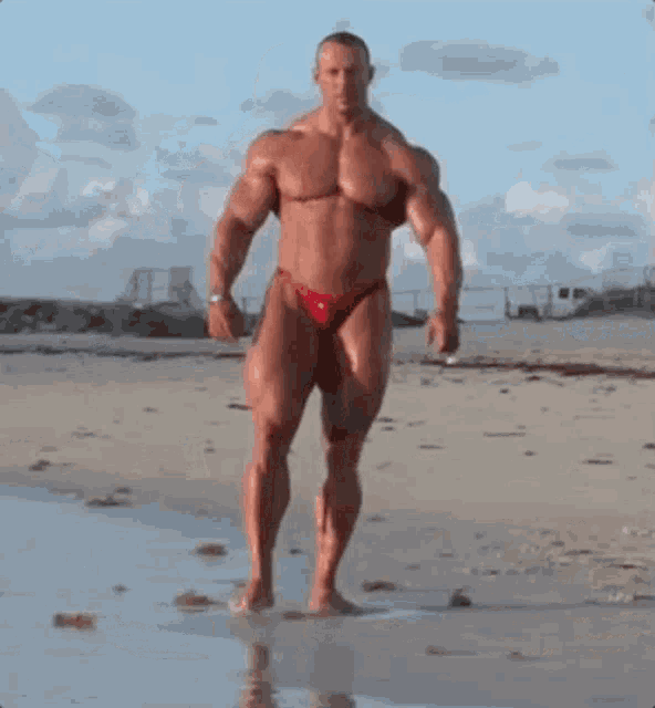 Bodybuilder Poser GIF - Bodybuilder Poser Muscle GIFs