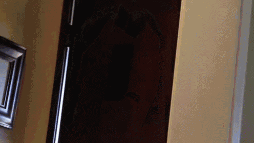 a picture frame is hanging on a wall next to a black door
