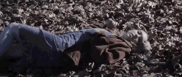 a person laying on a pile of leaves with a hoodie on