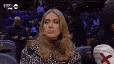 a woman in a leopard print dress is sitting in a stadium watching a game .
