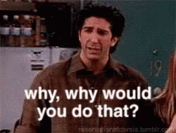 Why Would You Do That Ross Geller GIF - Why Would You Do That Ross Geller Friends GIFs