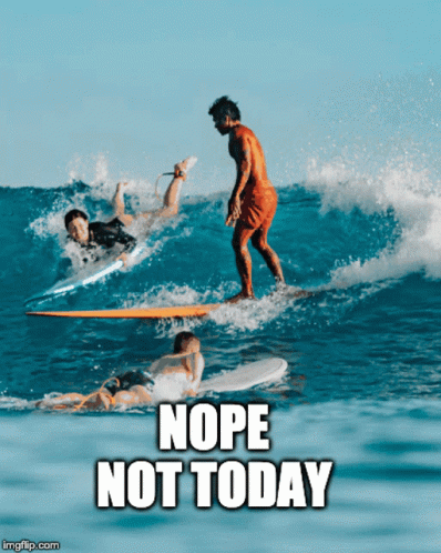 Toots Surfing GIF - Toots Surfing Surf GIFs