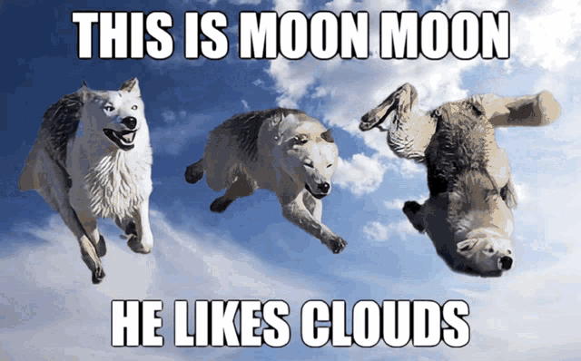 Moonmoon GIF - Moonmoon Moon GIFs