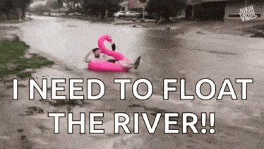 Whats Going On Drenched GIF - Whats Going On Drenched Flooding GIFs