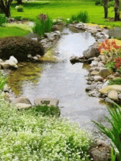 a stream runs through a garden with a rock that says sdp on it