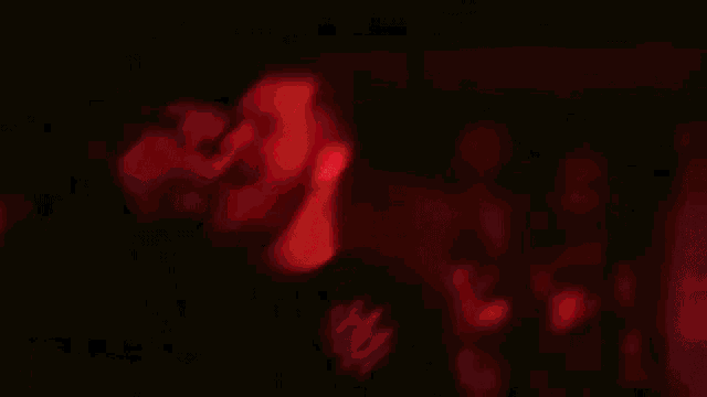 a blurry picture of a man singing into a microphone in a dark room with red lights .