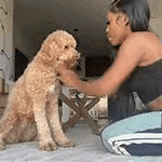 a woman is petting a small dog while sitting on a couch .
