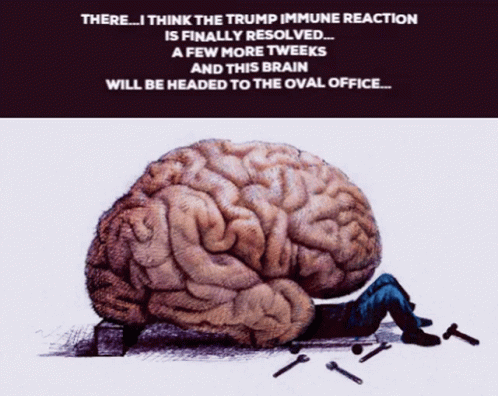 Donald Trump Brain GIF - Donald Trump Trump Brain GIFs
