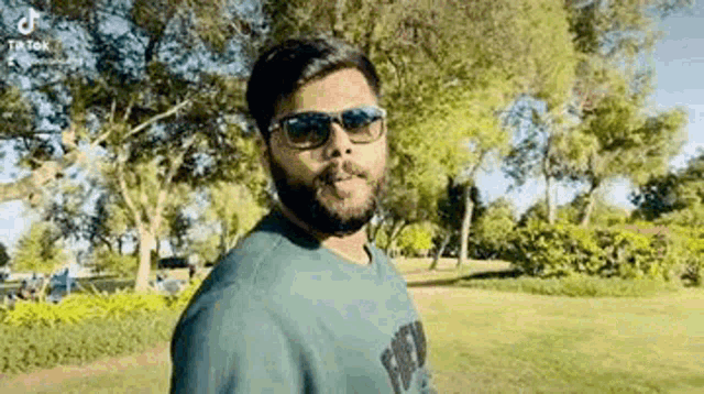 a man with a beard is wearing sunglasses and standing in a park .