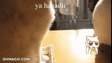 a gif of a cat with the words ya hanadii