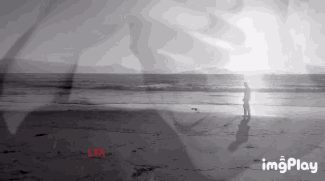 a black and white photo of a person standing on a beach with the letters lta in red