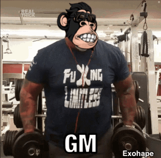 Exohape Gym GIF - Exohape Gym Gym Tim GIFs