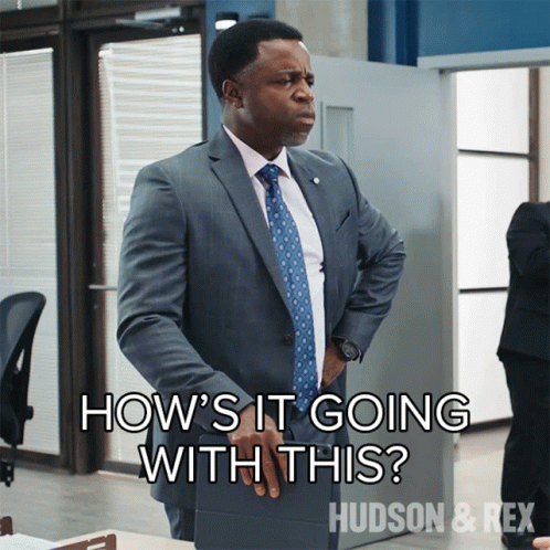 Hows It Going With This Supt Joe Donovan GIF - Hows It Going With This Supt Joe Donovan Hudson And Rex GIFs