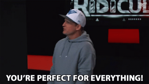 Youre Perfect For Everything Rob Dyrdek GIF - Youre Perfect For Everything Rob Dyrdek You Are Perfect GIFs