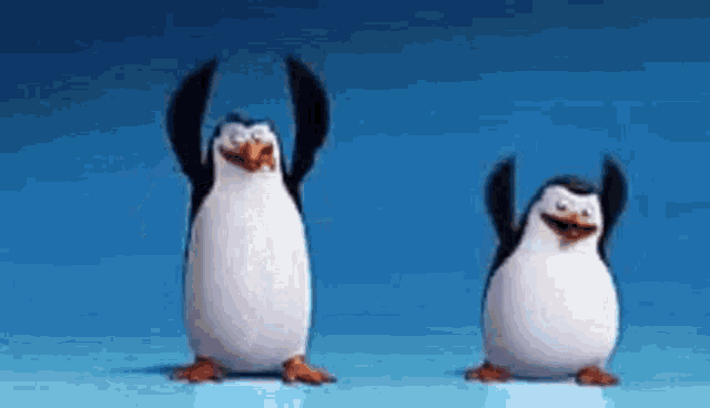 two penguins are dancing together on a blue surface .