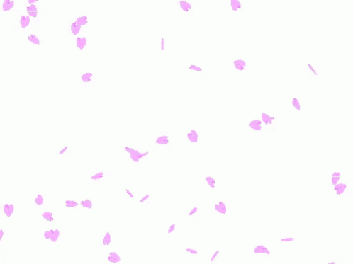 桜が落ちる　桜吹雪  枯れる　綺麗 GIF - Sakura Fubuki Cherry Blossoms GIFs