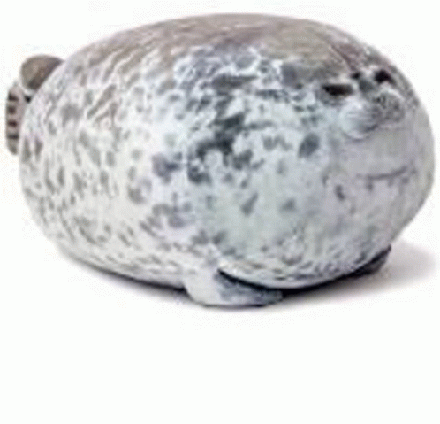 Seal Pillow Squishy Cute Seal GIF - Seal Pillow Squishy Cute Seal Seal GIFs