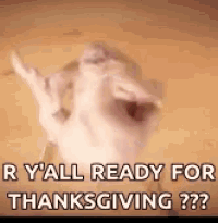 a pig is giving the middle finger and saying `` r y all ready for thanksgiving ? ''