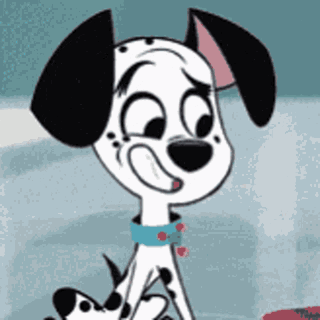 a dalmatian dog is wearing a blue collar and looking at the camera .