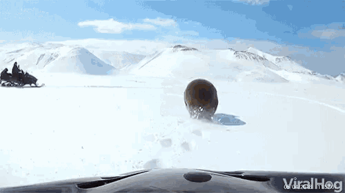 Viralhog Bear GIF - Viralhog Bear Snowmobile GIFs