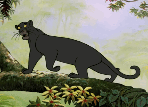 Bagera Jungle Book GIF - Bagera Jungle Book Shocked GIFs