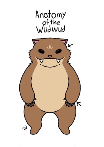 a cartoon drawing of a cat with the words anatomy of the widwud