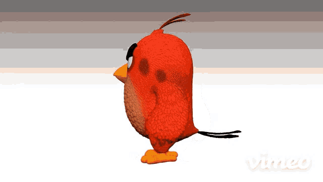 a 3d model of an angry bird with vimeo written on the bottom