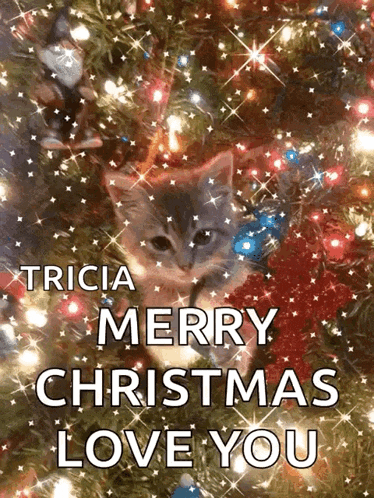a kitten sitting under a christmas tree with the words merry christmas love you