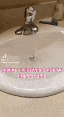 a bathroom sink with water coming out of the faucet and a caption that says " giving my kitten a bath for the first time "