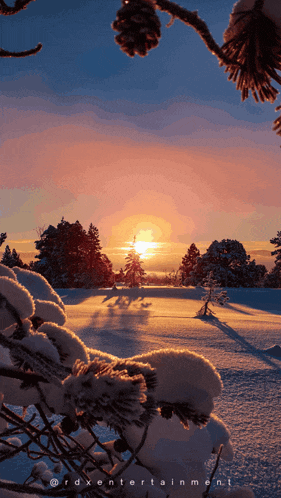 a snowy landscape with a sunset in the background and the word entertainment on the bottom left