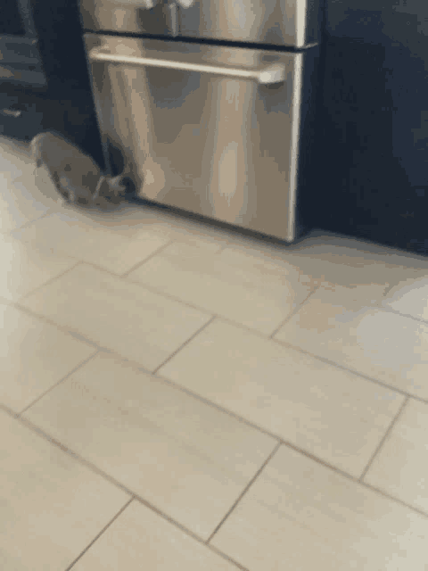 a stainless steel refrigerator is in a kitchen
