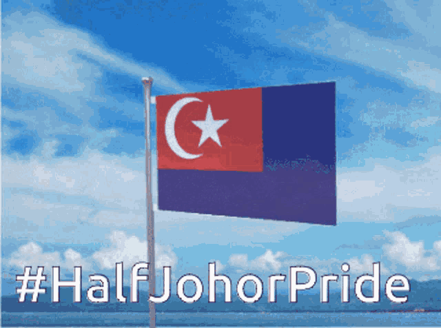 a flag with a crescent moon and a star is flying in the wind