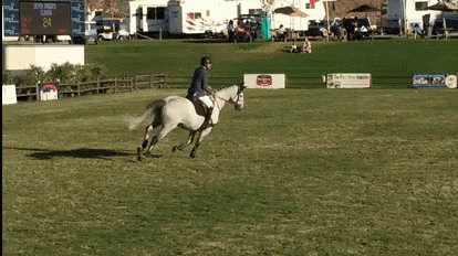 Show Jumping GIF - Show Jumping Horses GIFs