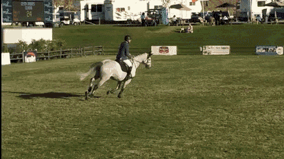 a person is riding a horse in a field with a purple fence in the background
