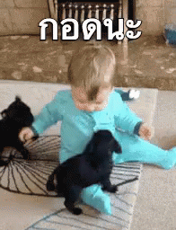 กอดนะ GIF - Baby Hug Puppies GIFs