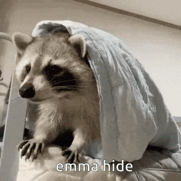 a raccoon is hiding under a blanket with the words emma hide written below it